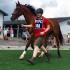 Midsouth Region Pony Club Rally